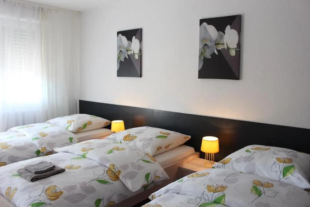 Studios near Basel Airport - Photo 4
