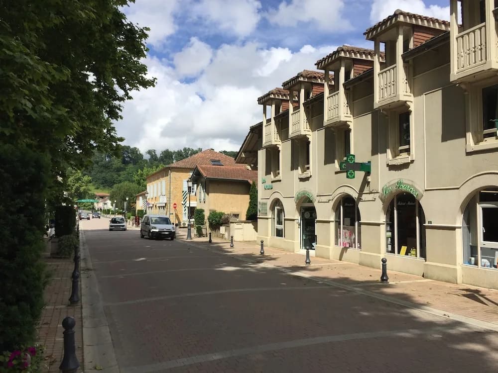 Les Arums - Photo 1