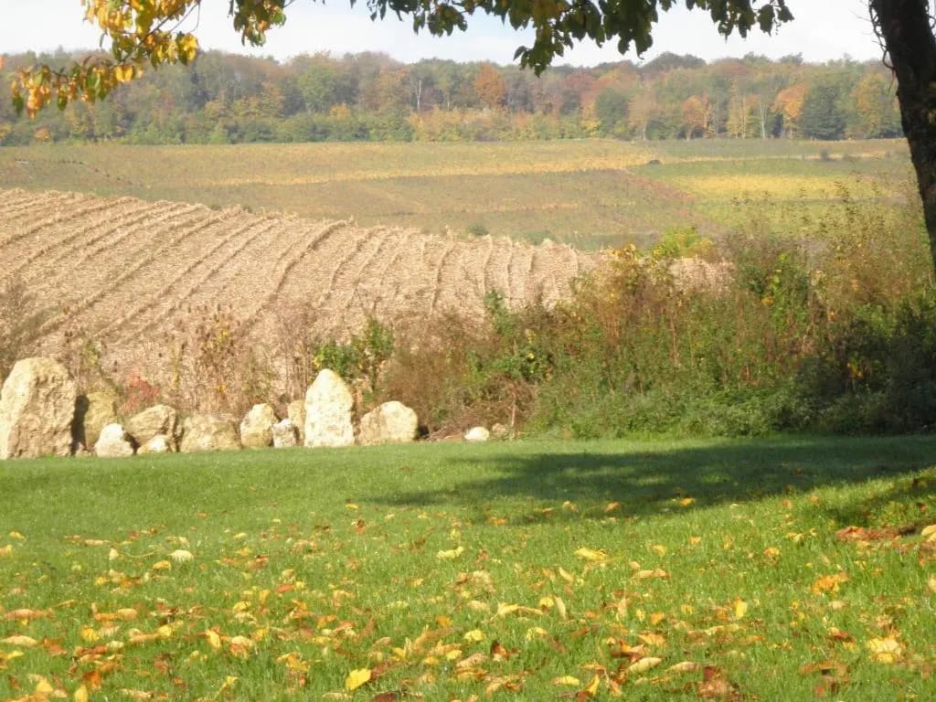 Domaine du Moulin de l'Etang - Photo 4