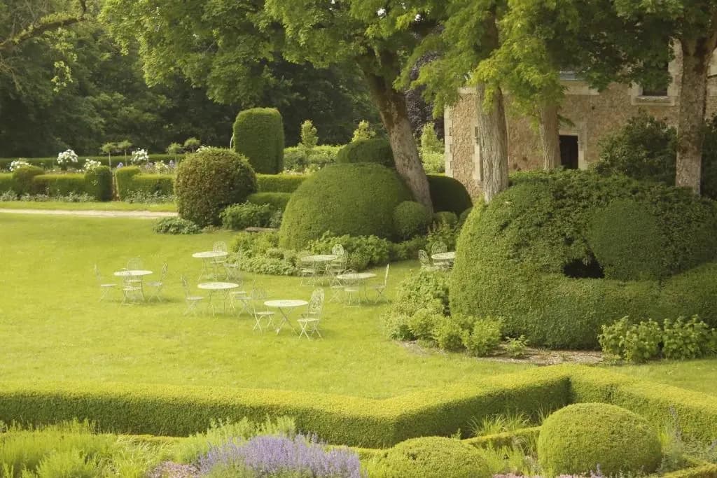 Château de Montmirail - Photo 4