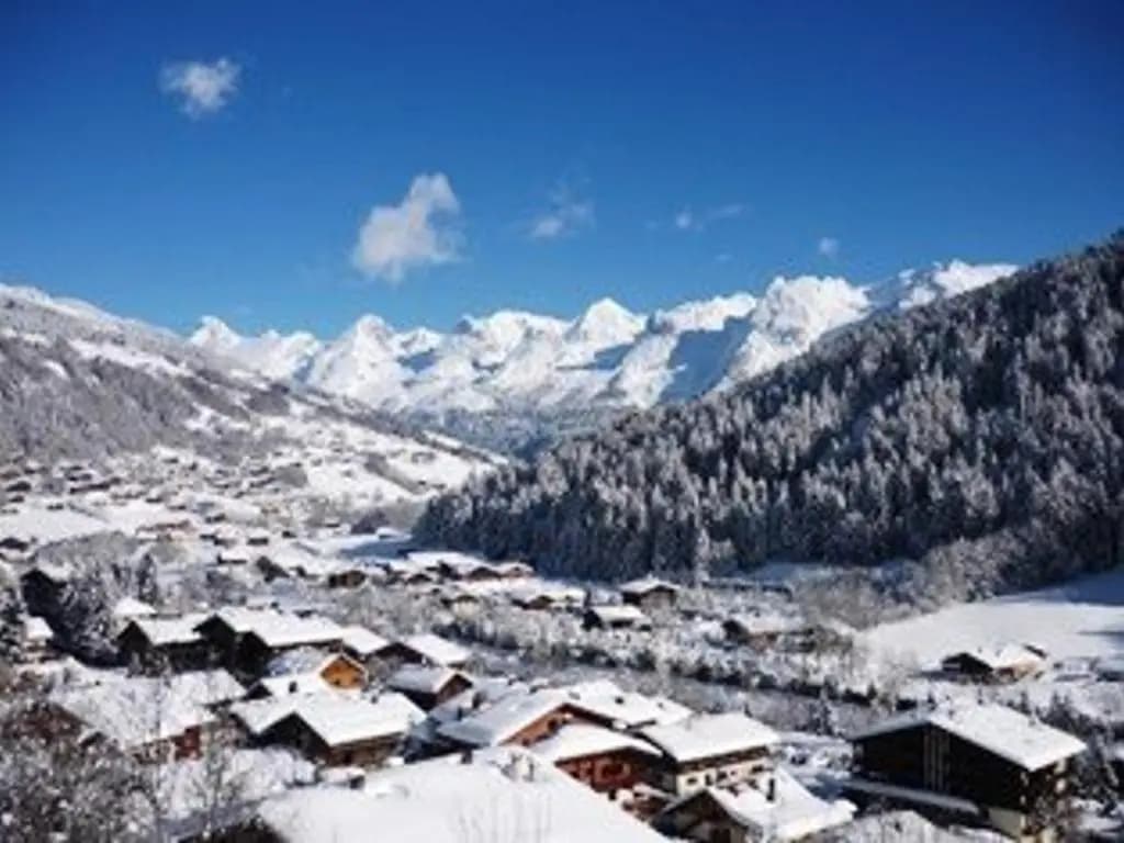 Appartement Le Grand-Bornand, 1 pièce, 4 personnes - FR-1-241-132 - Miniature 6