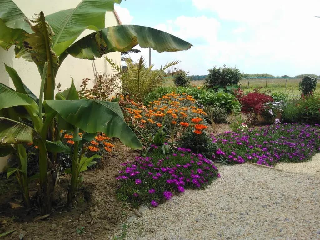 L'Ecume De Jade - Photo 3