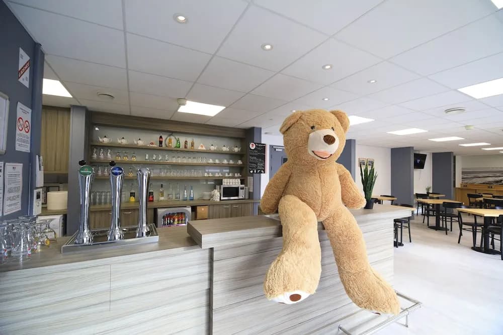 Brit Hotel Essentiel Le Polder - Gravelines - Photo 3
