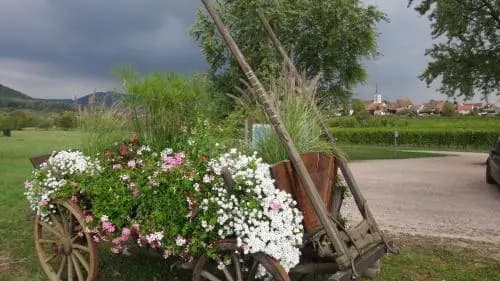 Gite Le Petit Moulin - Photo 3