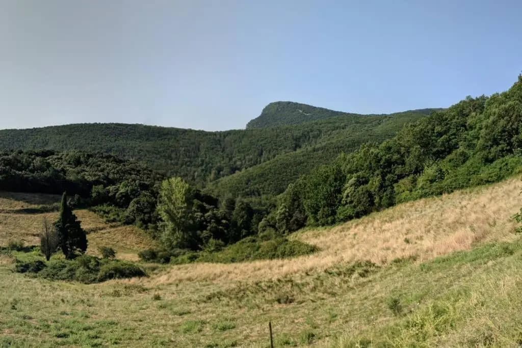 Le Belvedere - Photo 1