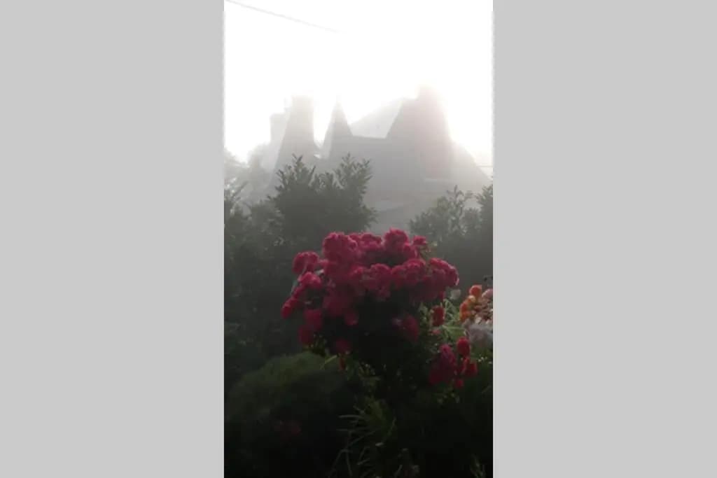 La Lanterne: Grande Maison a Deux Pas de la Mer - Photo 3