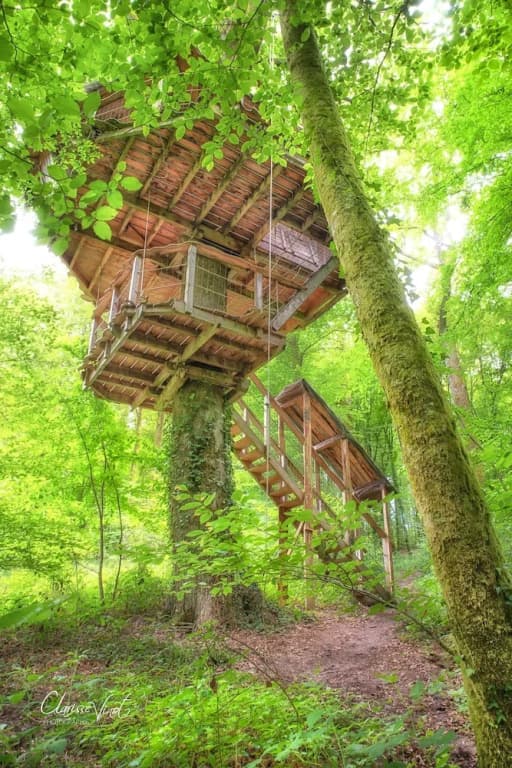 L'Arbre à Cabane - Photo 3