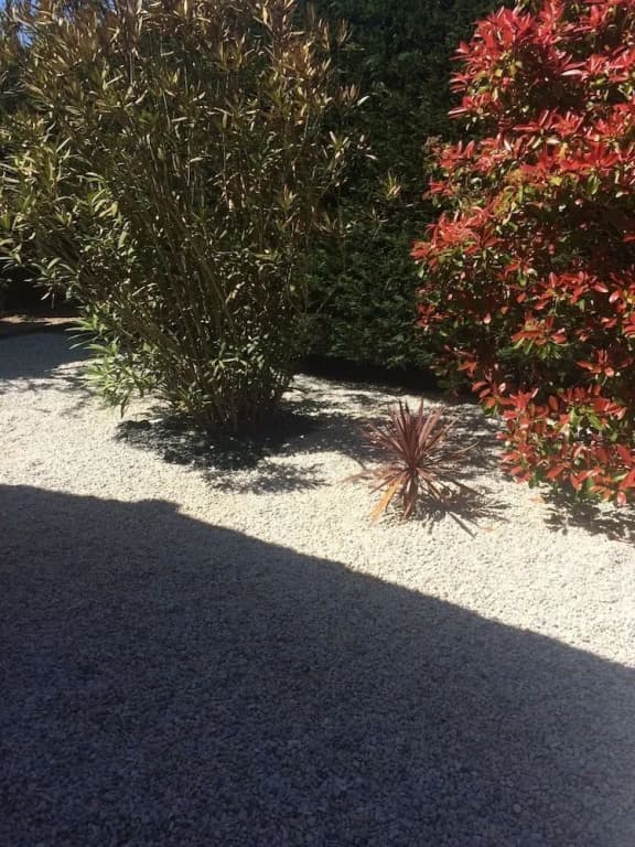 Chambres les passiflores - Miniature 8