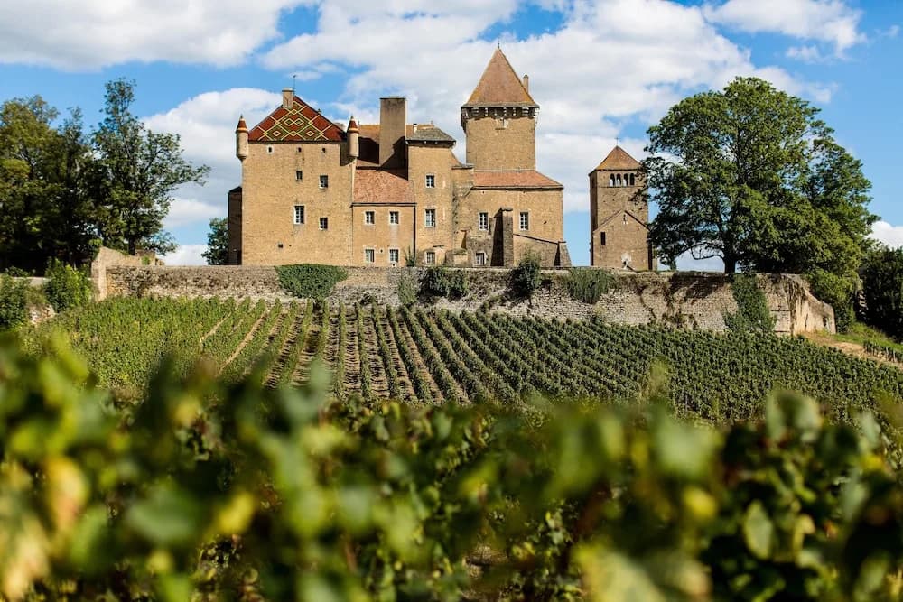 Château de Pierreclos - Miniature 8