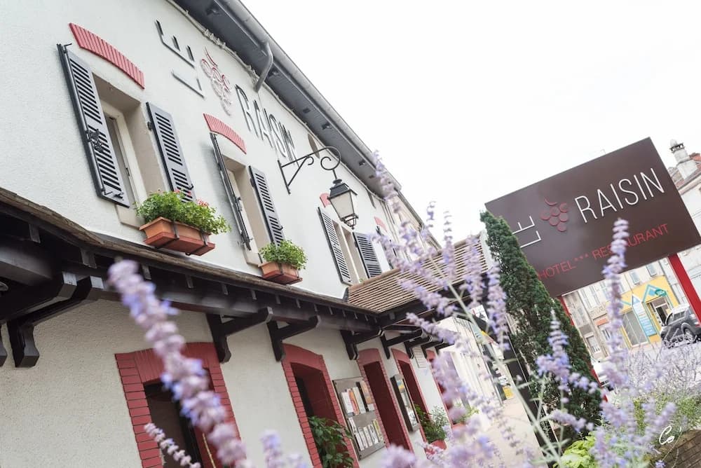 Logis les Cepages-Restaurant le Raisin - Photo 1