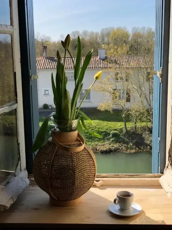 La Belle Epoque - Chambres d'hôtes & SPA - Miniature 7