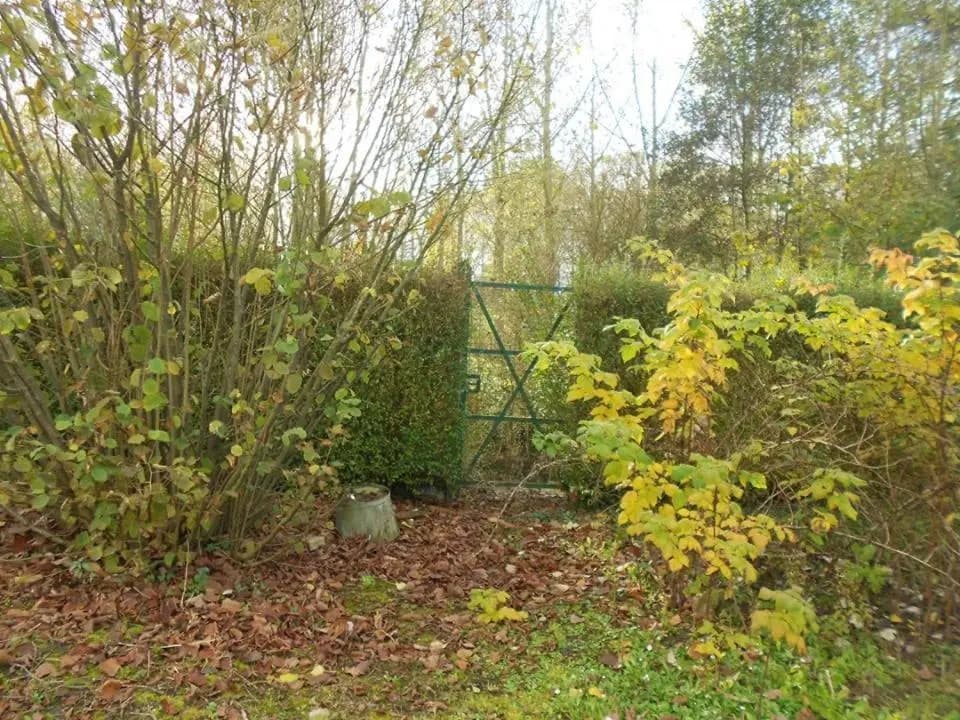 Ma petite Bohème - Photo 4