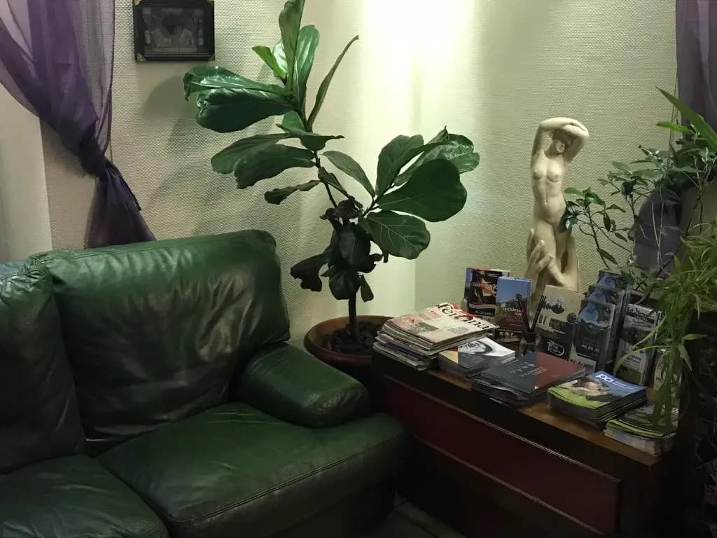 Hotel Myosotis - Photo 2