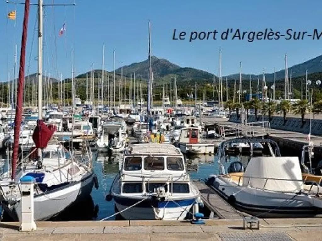 Appartement Argelès-sur-Mer, 2 pièces, 4 personnes - FR-1-225-303 - Miniature 6