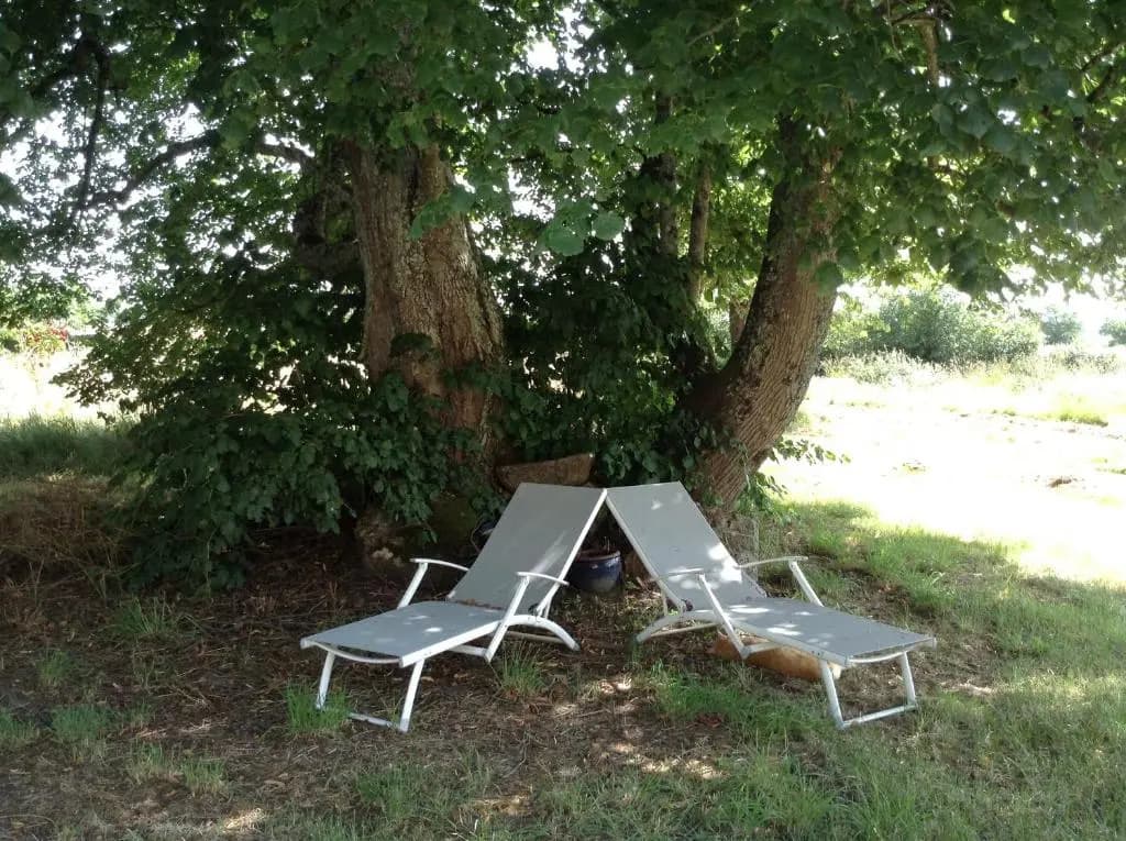 Homestay at Residence de la Arrabella - Photo 5