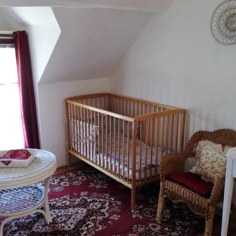 Le Bourg Remy Gites - Photo 4