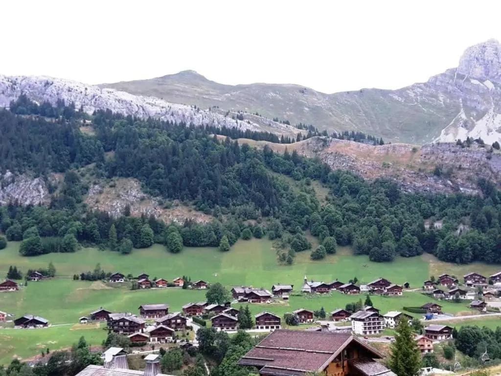 Appartement Le Grand-Bornand, 2 pièces, 6 personnes - FR-1-241-21 - Miniature 8