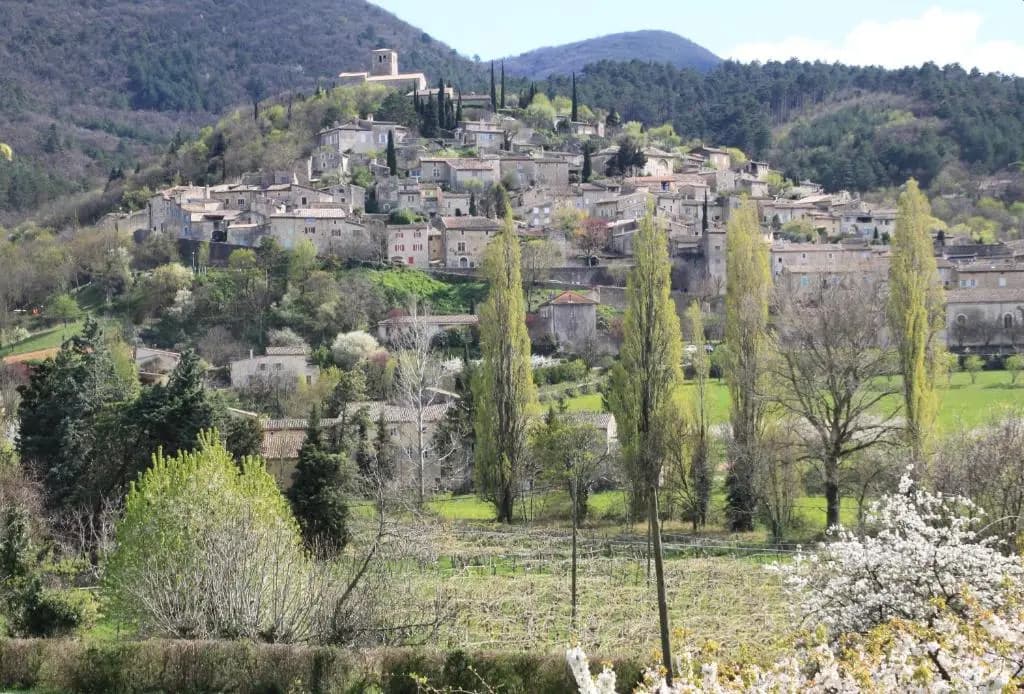 Vergers de la Bouligaire - Miniature 7