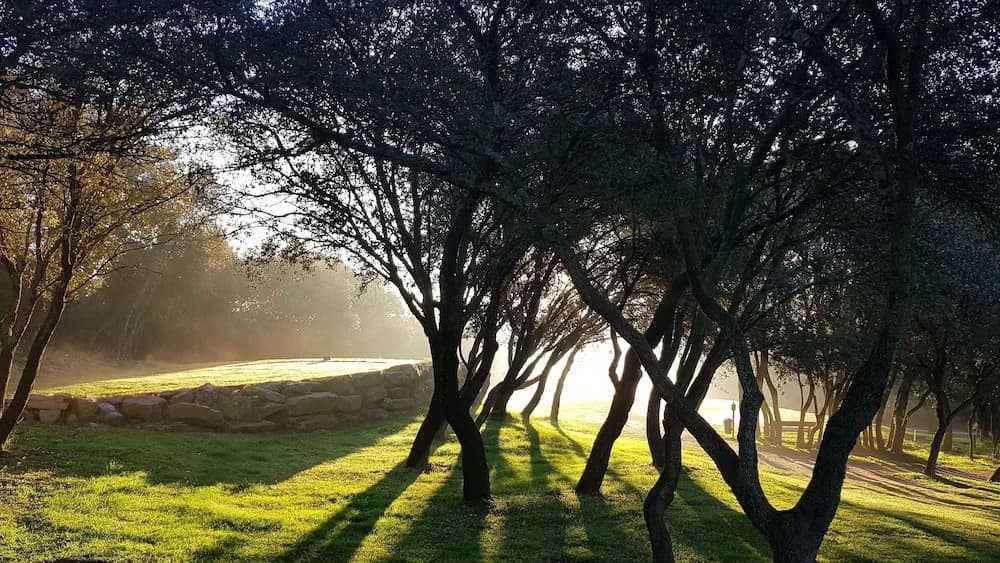 Golf & Résidence de Nîmes Vacquerolles - Photo 3