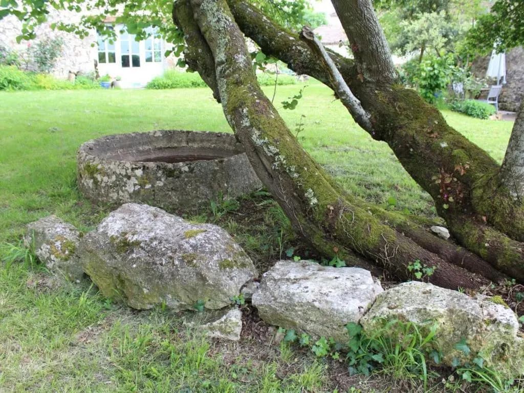 Gîte Monsac, 2 pièces, 2 personnes - FR-1-616-101 - Photo 5