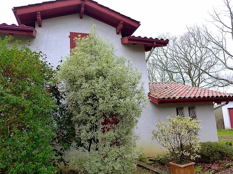 Holiday Home Eki Alde - Miniature 7