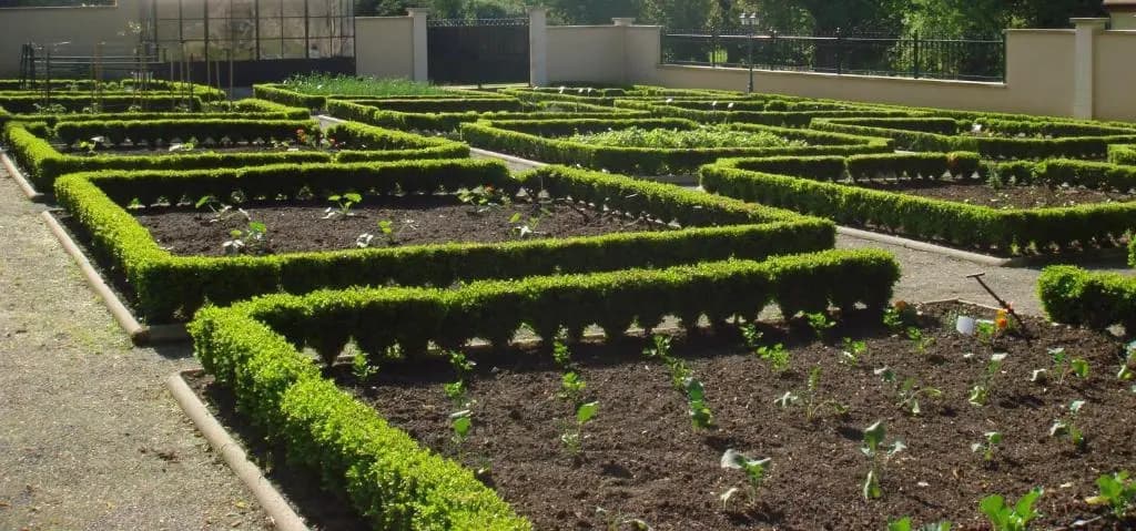 Domaine de l'Orangerie - Miniature 7