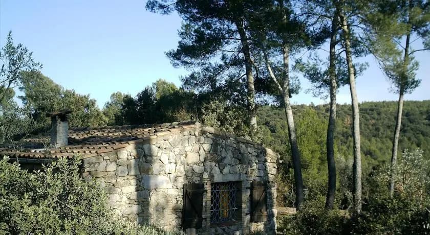 L'Eucalyptus - Photo 1