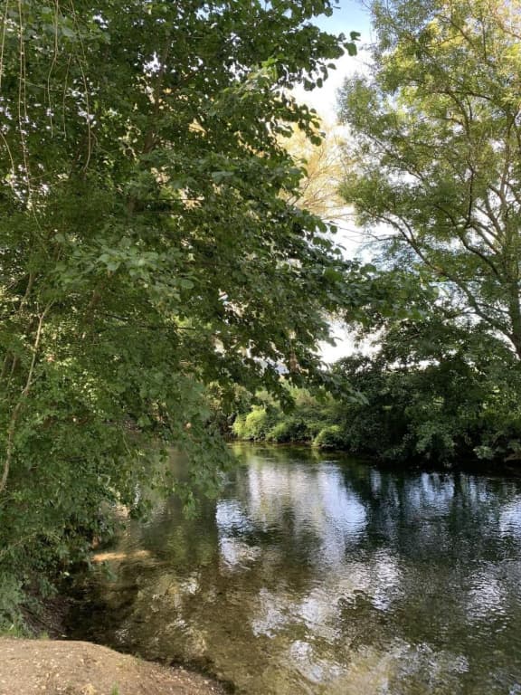 L'Orée de Giverny - Photo 2
