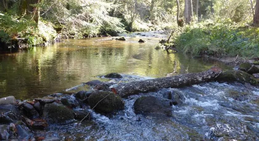 Le Moulin Gitenay - Yourte - Photo 4