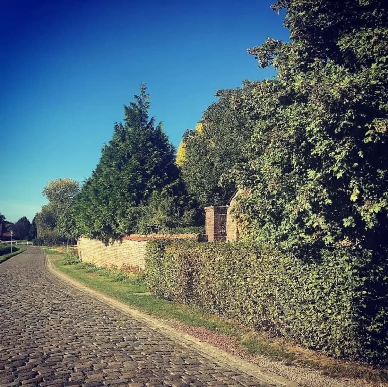 Le Clos de Bénédicte - Miniature 6