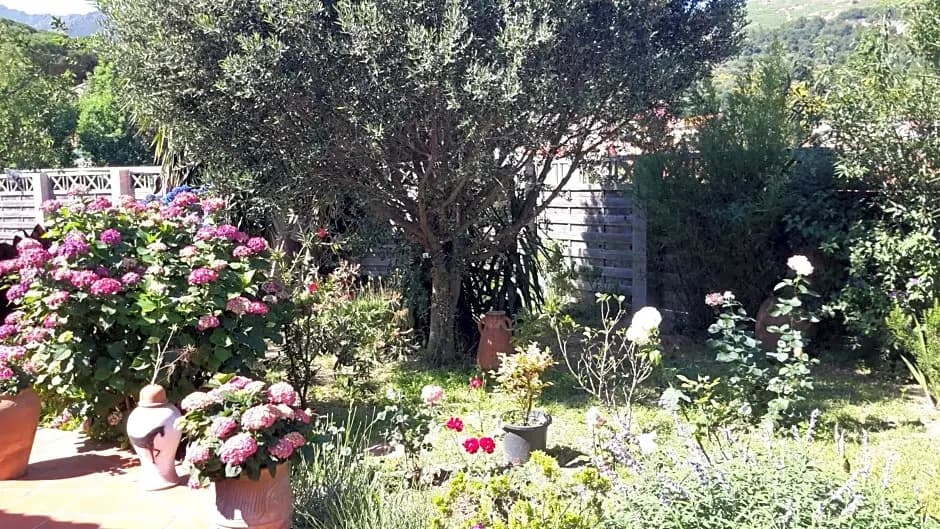 La Chambre De Salome - Photo 3