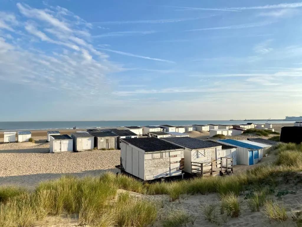 Studio Cosy En Bord de Mer (Adults Only) - Photo 3