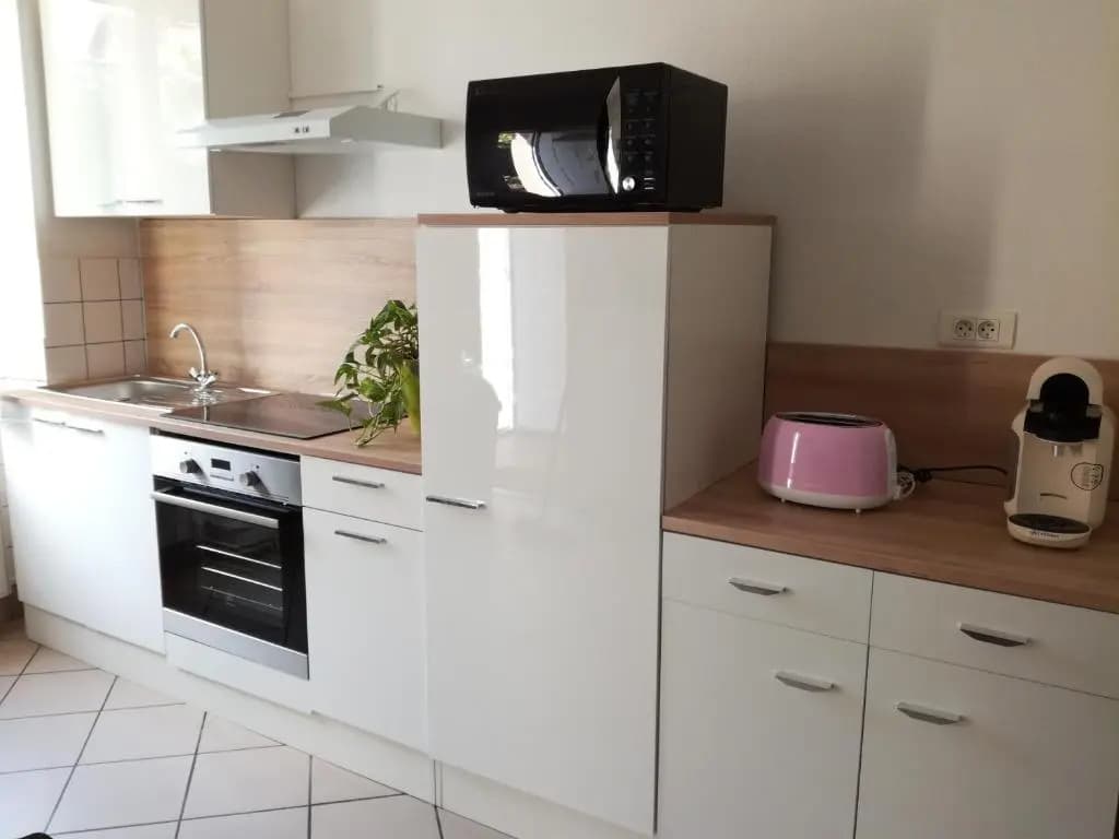 Appartement avec jardin à Colmar - Miniature 8