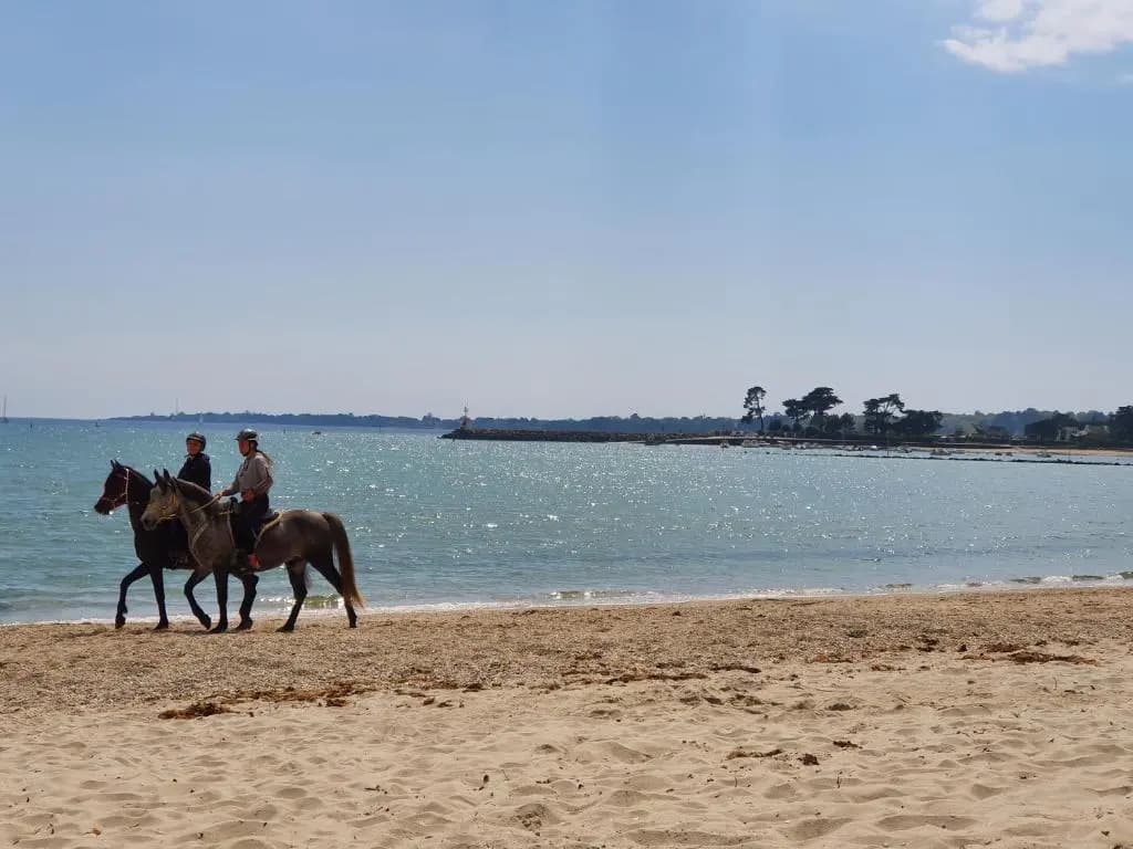 Vacances Ô Loch - Studio à 200 mètres de la plage - Le Cap Coz Fouesnant - Miniature 6