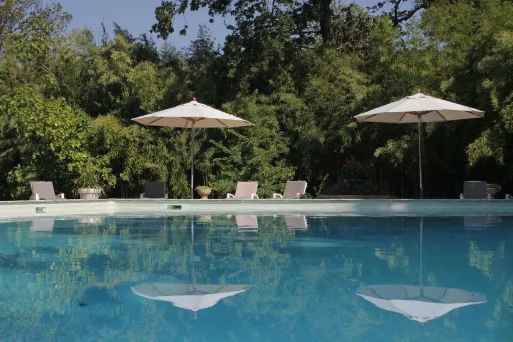Domaine de la Dragonette Mas from the 18th century in the heart of Provence- Lubéron-Avignon - Miniature 8