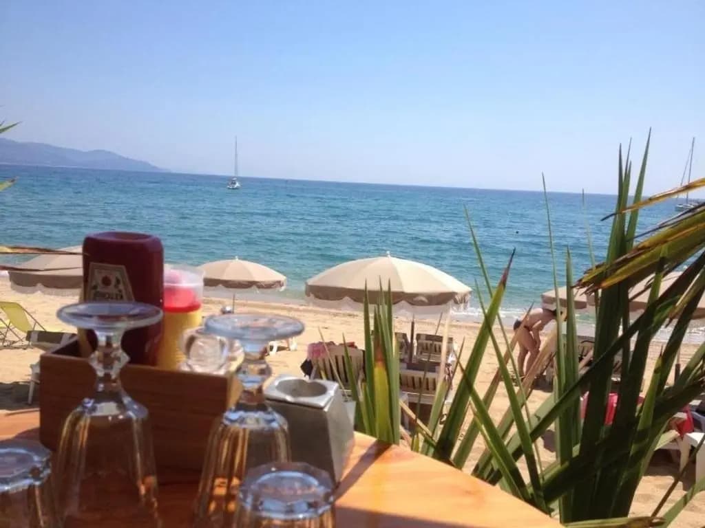 Appartement Le Lavandou, 3 pièces, 8 personnes - FR-1-251-81 - Miniature 7