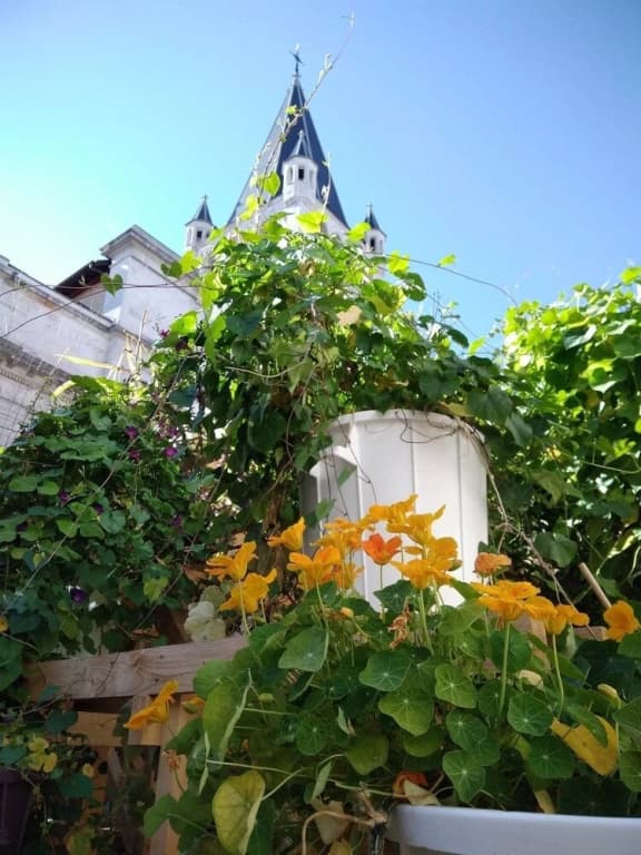 LP's house - Photo 1