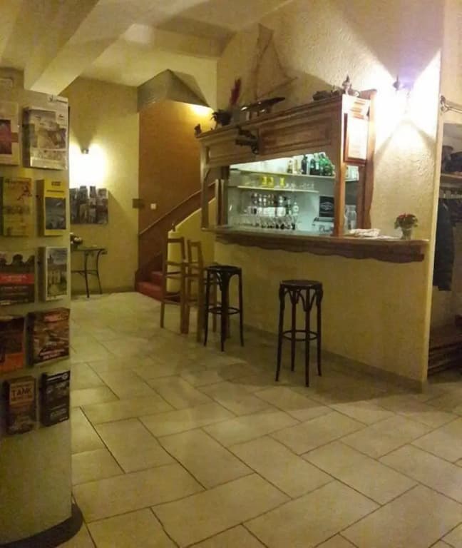 Le Lion dOr - Photo 4