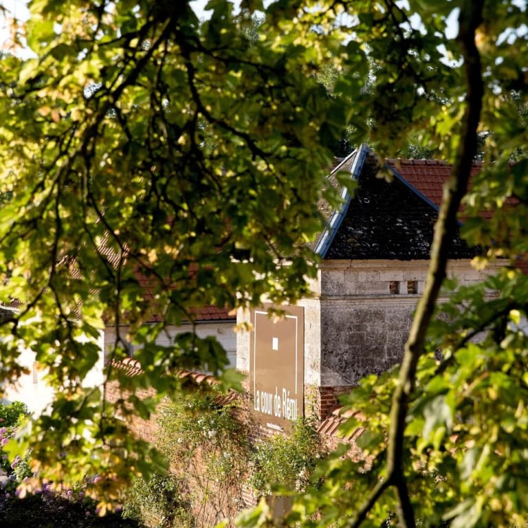 La Cour de Remi - Miniature 7