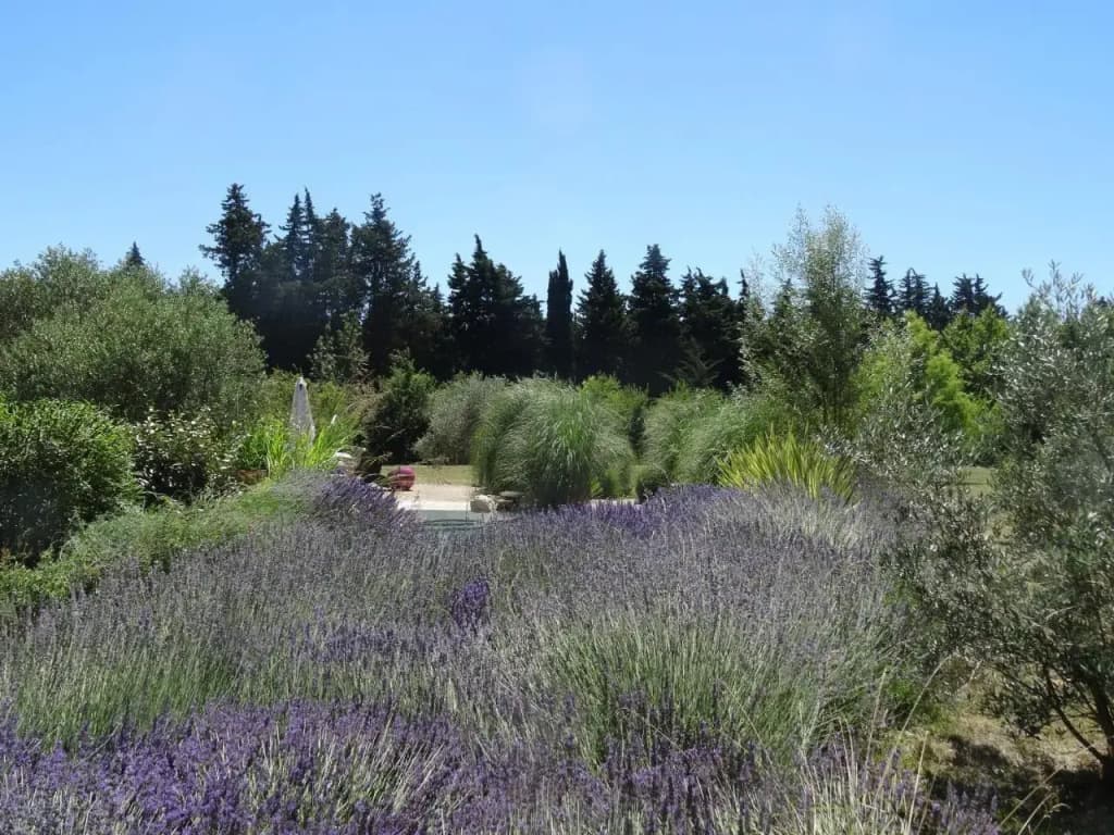 Le Nid de la Huppe - Photo 5