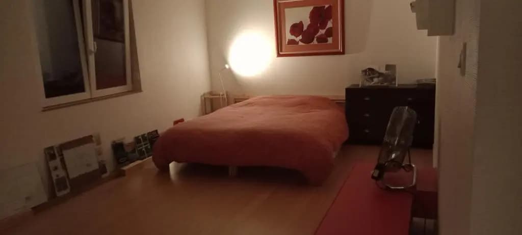 Loft avec Terrasse 77 M2 et 24 M2 STRASBOURG 2 à 6 couchages G Friendly - Photo 2