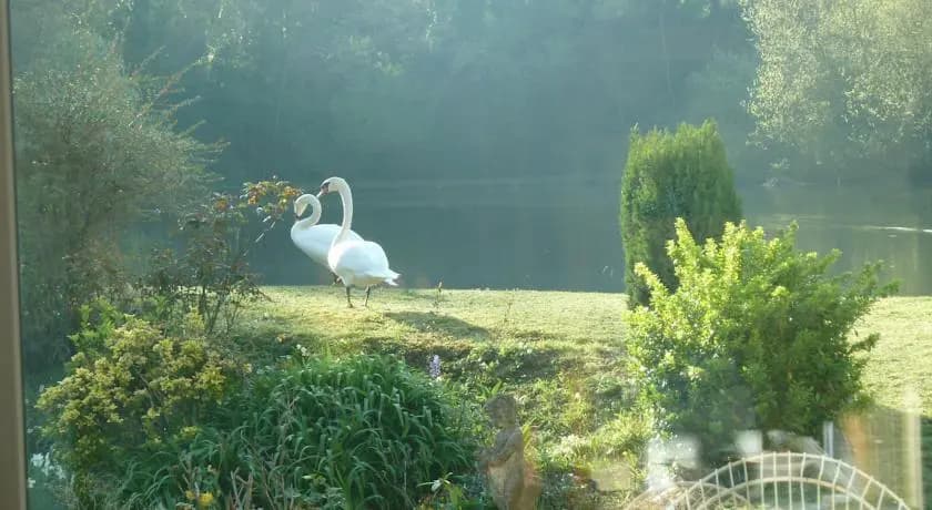 Le Moulin de Dannes - Photo 1