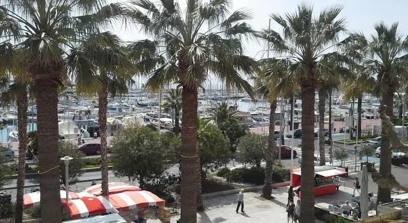 Bandol Amazing Flat - Miniature 7