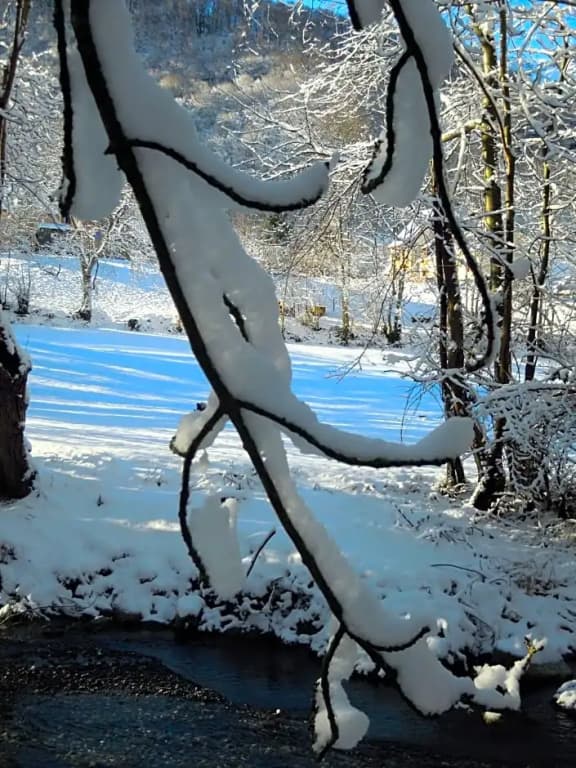 La Grande Ourse - Photo 2