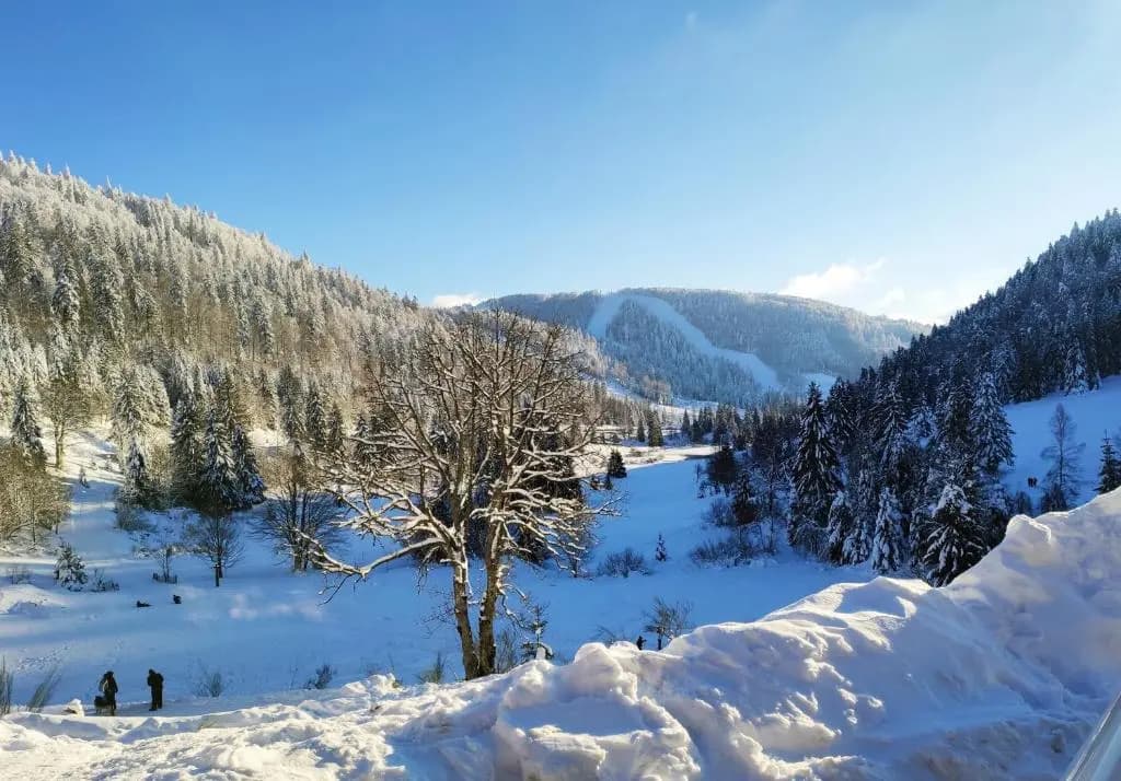 LA BRESSE - Appartement de Charme 3* - Miniature 7