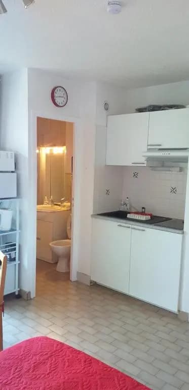 STUDIO CONFORT ET LUMINEUX avec LOGGIA ET PARKING PRIVE - Photo 3