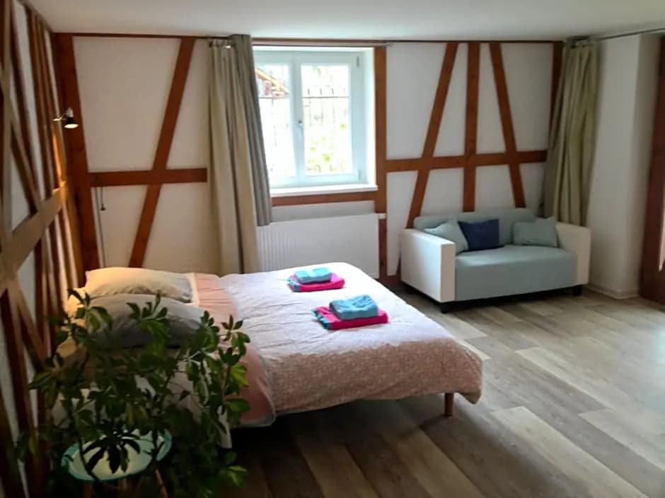Forest Retreat in Vosges - Photo 3
