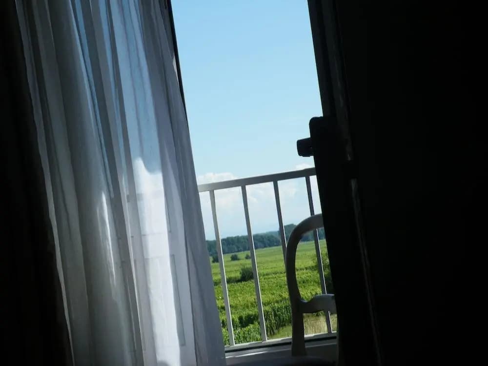 Hotel L'Oraye - Colmar Ouest - Miniature 8