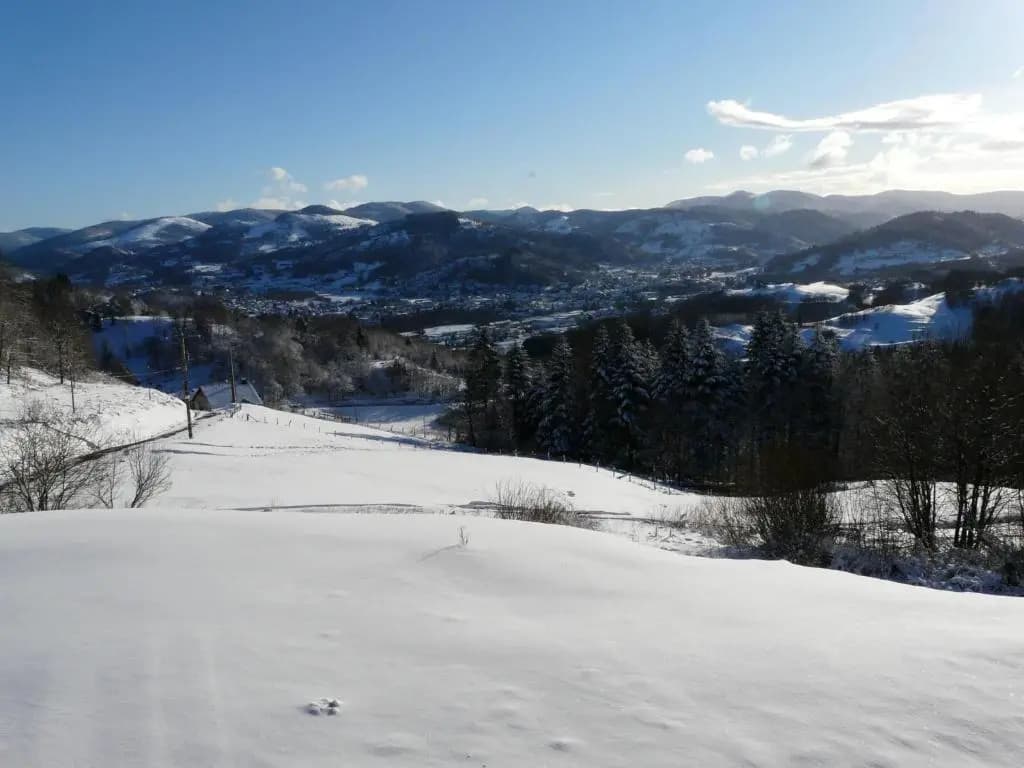 Auberge du Grammont - Photo 3