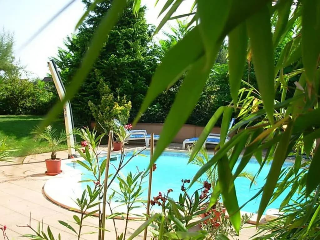 Vignoble - Photo 2